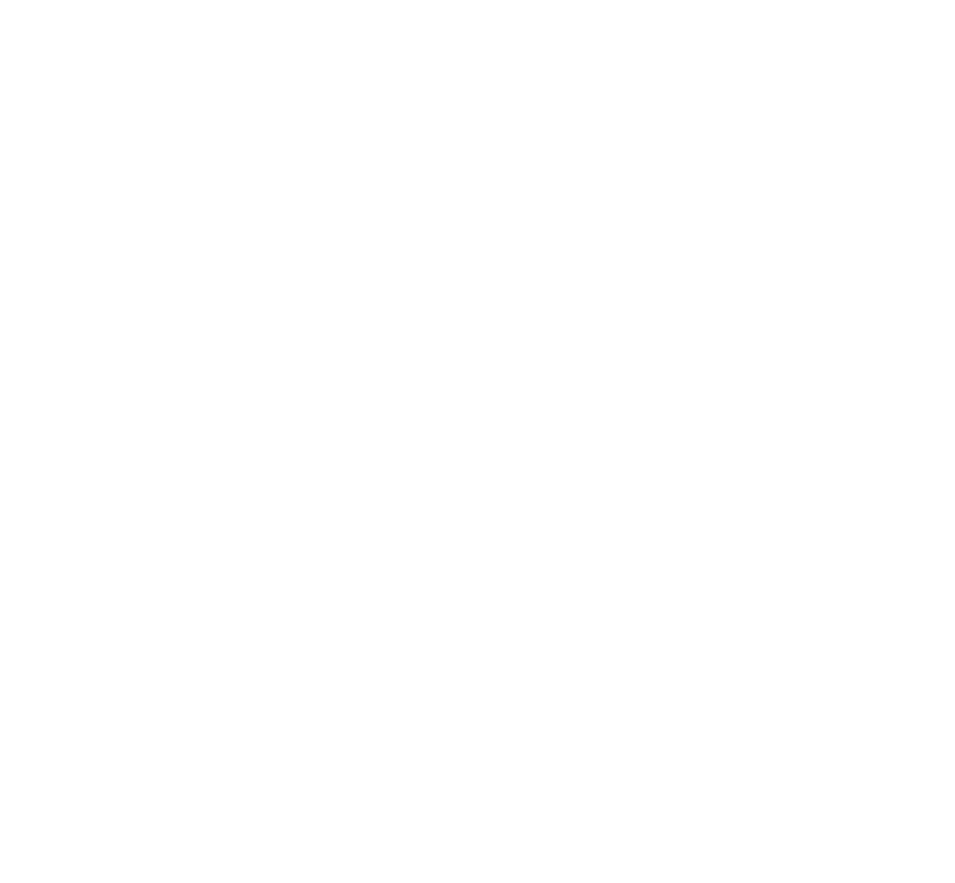 CCFI Logo